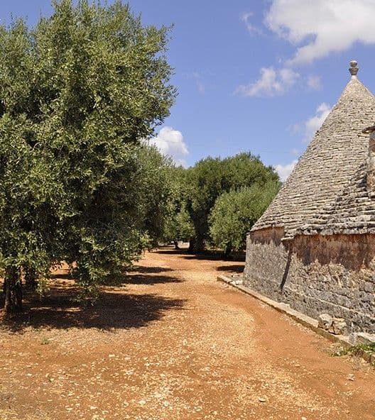Olio Intini, Alberobello (Italie)
